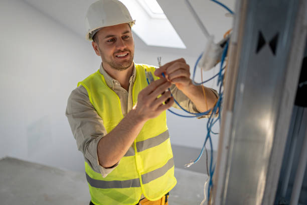 Best Electric Panel Repair  in Apollo Beach, FL